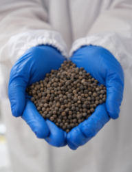 尾气处理催化剂